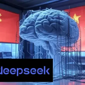 DeepSeek1a