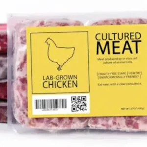 Concept-for-cultivated-Chicken